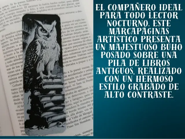 Owl & Books Bookmark