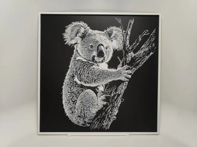 HueForge model: Koala - Hueforge by BeaN
