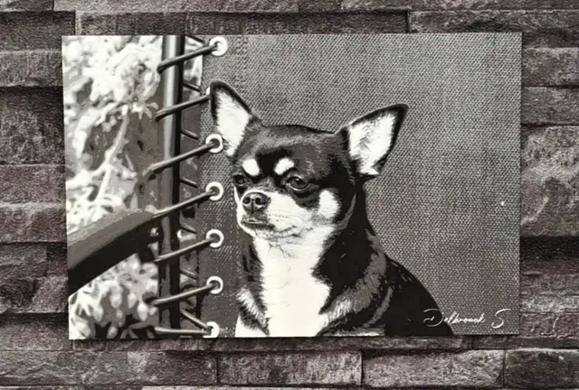 HueForge model: Hueforge Chihuahua by StefBull85