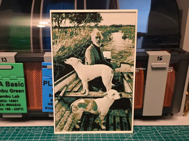 HueForge model: Goodfellas Painting - Hueforge Art by Lumpy3D