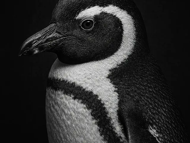 HueForge model: Hueforge Penguin by cterry2000