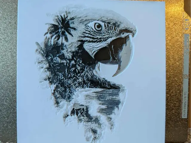 HueForge model: Macaw parrot - double exposure - hueforge by 3dGlow