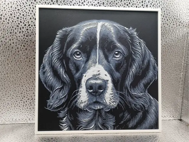 HueForge model: Sprocker Spaniel – Hueforge by Borishotch Industries