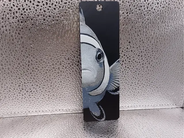 HueForge model: Clownfish Bookmark – Hueforge by Borishotch Industries