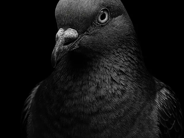 HueForge model: Hueforge Pidgeon by cterry2000