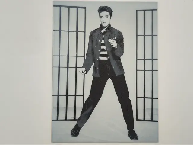 HueForge model: Elvis Presley - hueforge by Altf4-Formation
