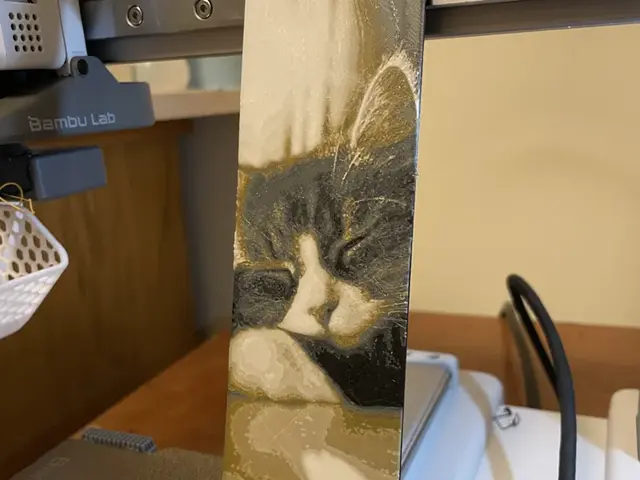 HueForge model: Cat Bookmark by 3D_Forged