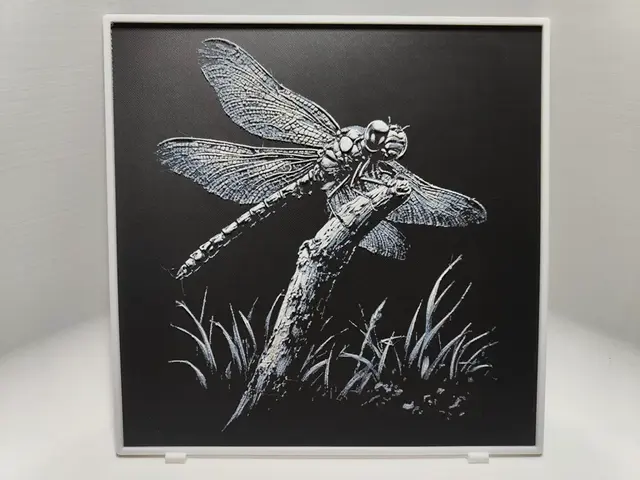 HueForge model: Dragonfly - Hueforge by BeaN