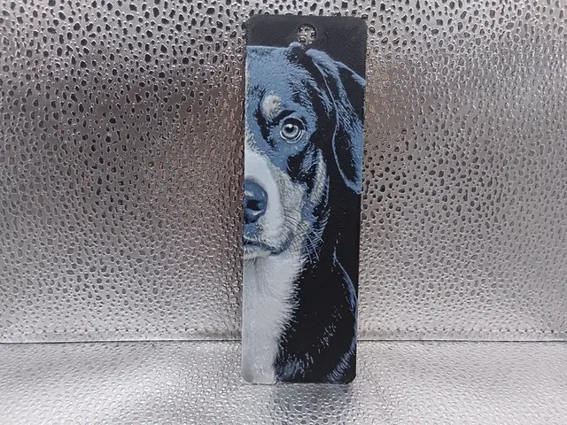 Entlebucher Mountain Dog Bookmark - HueForge