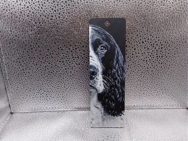 HueForge model: English Springer Spaniel Bookmark – Hueforge by Borishotch Industries