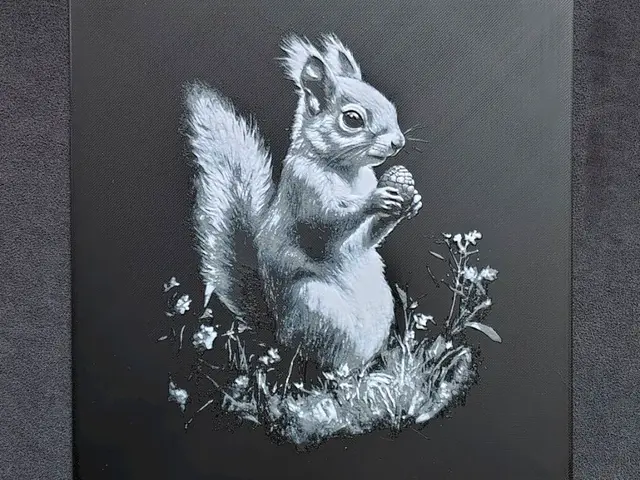 HueForge model: Squirell HueForge by fD.667