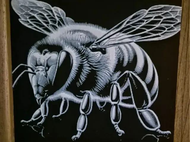 HueForge model: the wasp 2 hueforge by Buntsta