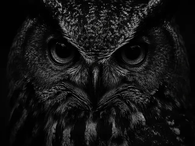 HueForge model: Hueforge Owl by cterry2000