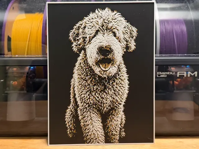HueForge model: Goldendoodle HueForge by liv_3d