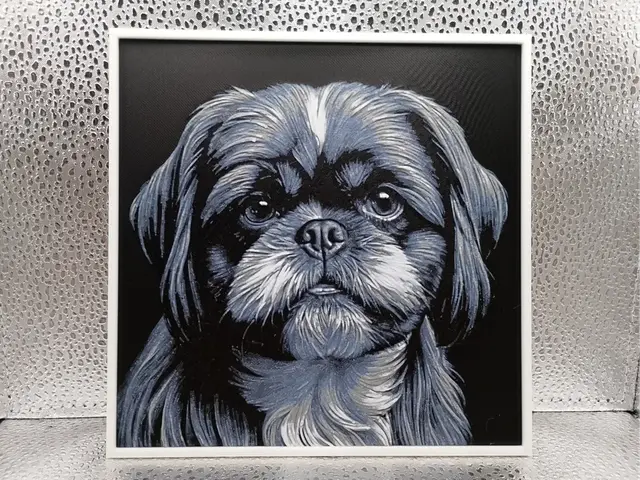 HueForge model: Shih Tzu – Hueforge by Borishotch Industries