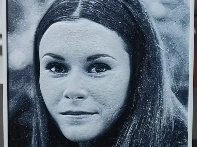 HueForge model: Kate Jackson (Charlie's Angels) HueForge 4 Color by BoDad