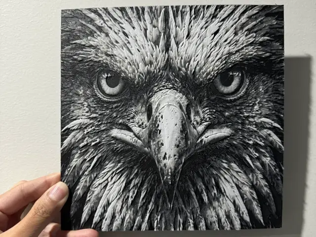 HueForge model: Owl's Watching You - HueForge Print by cyanidesugar