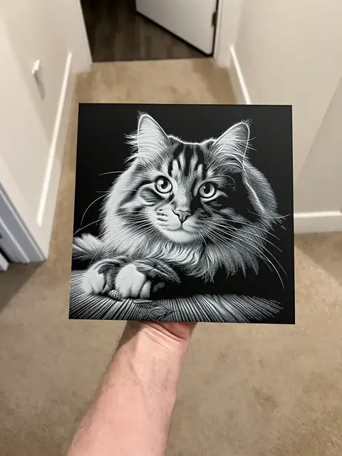 HueForge model: Cat Hueforge by RP47 Designs