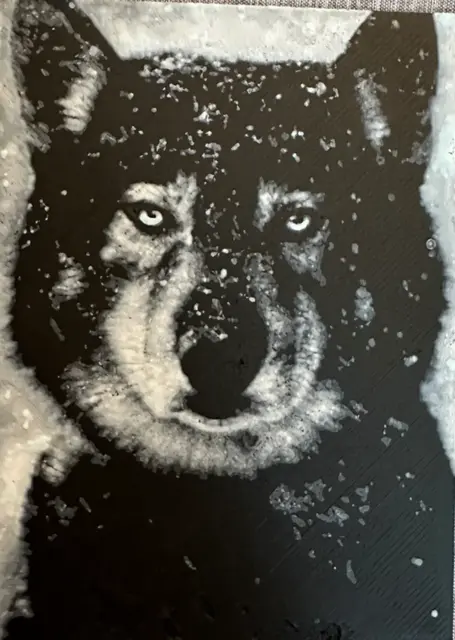 HueForge model: Hueforge of Togo Agouti Siberian Husky by Hey Ben