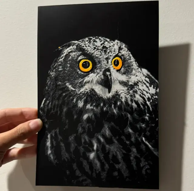 HueForge model: Owlbert Einsten - A LanternLore Collaboration by cyanidesugar