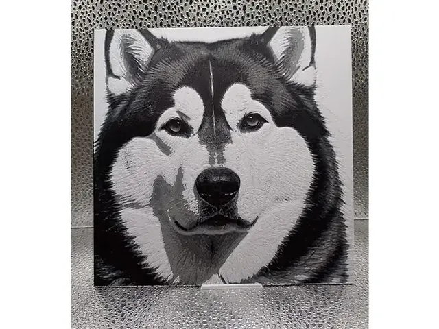 HueForge model: Alaskan Malamute Hueforge by Borishotch Industries