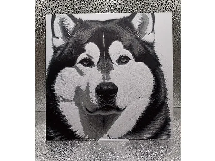 Alaskan Malamute Hueforge by Borishotch Industries HueForge model: Alaskan Malamute Hueforge by Borishotch Industries