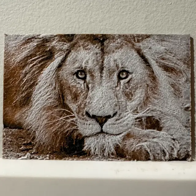 HueForge model: Lion (Realism) - Hueforge Print by cyanidesugar
