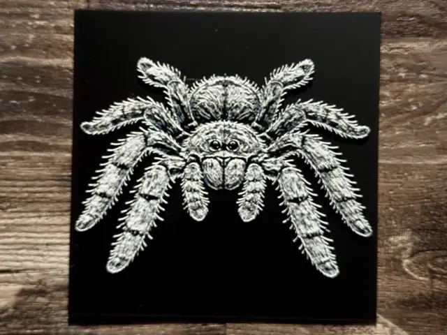 HueForge model: Tarantula Spider Wildlife Series by novy