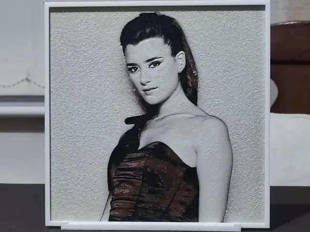 HueForge model: Cote De Pablo - HueForge 4 Color by BoDad
