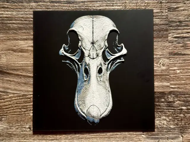 HueForge model: Duck SKull Series by novy