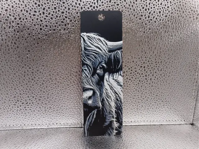 HueForge model: Highland Cow Bookmark – Hueforge by Borishotch Industries
