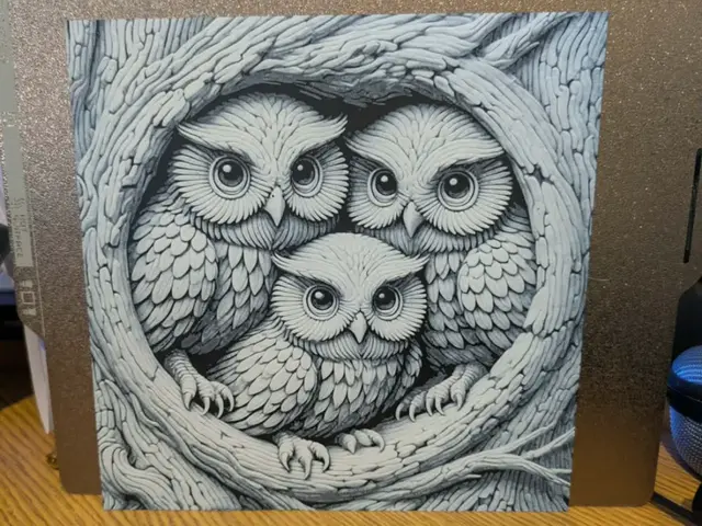 HueForge model: Owl Huddle - Hueforge by 3dGlow