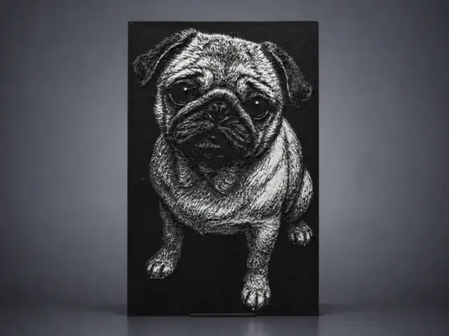Pug dog