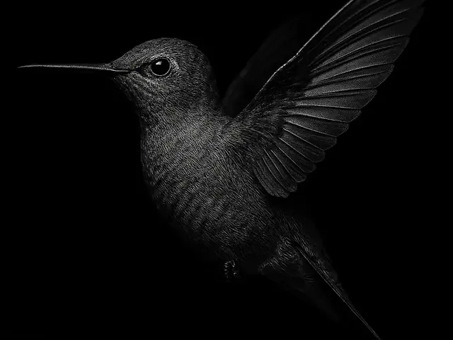 HueForge model: Hueforge Hummingbird by cterry2000