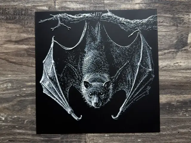 HueForge model: Flying Fox Bat Wildlife Series by novy
