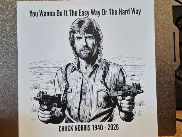 HueForge model: Chuck norris - Easy way or hard way - Hueforge by 3dGlow